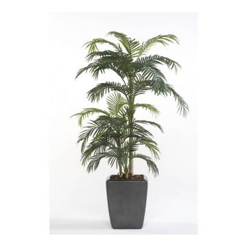 Fake Areca palm CAMYRA, 6ft/170cm