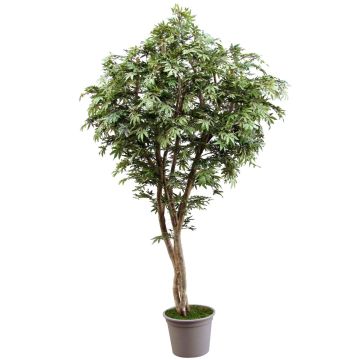 Artificial Japanese maple MYKYTA, natural stems, green-red, 4ft/125cm - Made in Italy