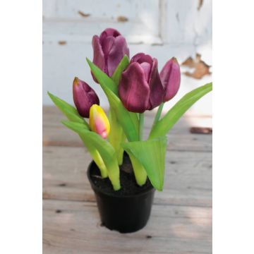 Artificial tulip CAITLYN in decorative pot, purple-green, 10"/25cm, Ø0.8"-2.4"/2-6cm