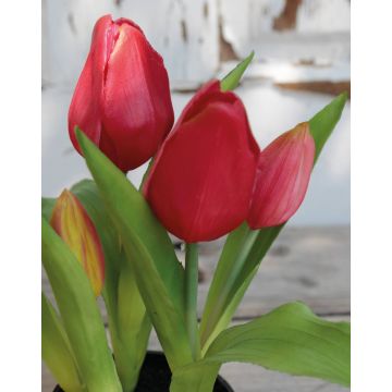 Artificial tulip CAITLYN in decorative pot, pink-green, 10"/25cm, Ø0.8"-2.4"/2-6cm
