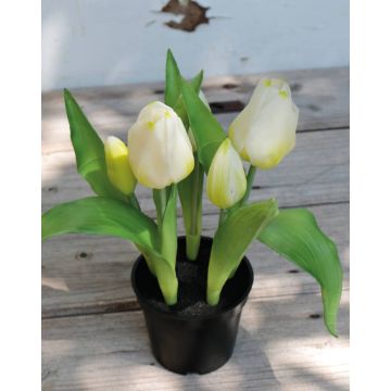Artificial tulip CAITLYN in decorative pot, white-green, 10"/25cm, Ø0.8"-2.4"/2-6cm