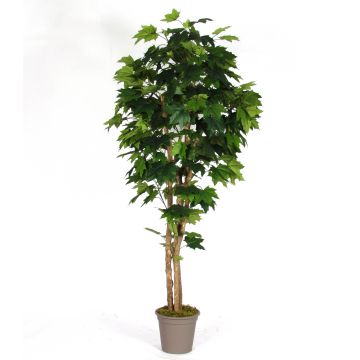 Decorative maple tree SLAWA, natural stems, green, 6ft/175cm - Made in Italy