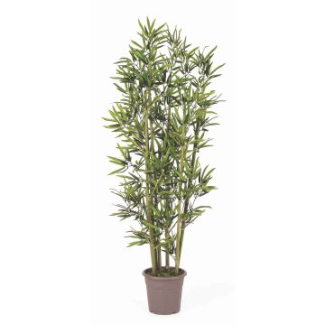 Artificial bamboo KUSJA, natural bamboo sticks, crossdoor, 6ft/175cm - Made in Italy