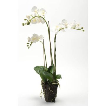 Silk phalaenopsis PABLA soil ball, white, 28"/70cm, Ø3.1"-4"/8-10cm