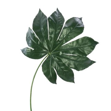 Artificial Aralia leaf FARIS, green, 22"/55cm