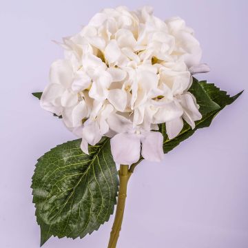 Fake hydrangea GABRIELLA, cream, 20"/50cm, Ø7"/18cm
