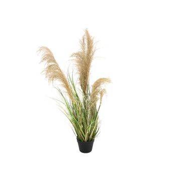 Artificial Chinese silver grass DAMARYS with panicles, green-beige, 4ft/110 cm