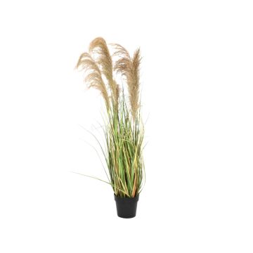 Artificial Chinese silver grass DAMARYS with panicles, green-beige, 5ft/140 cm