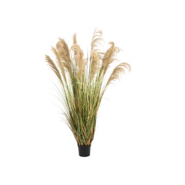 Artificial Chinese silver grass DAMARYS with panicles, green-beige, 6ft/180 cm