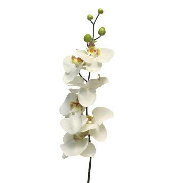Decorative Phalaenopsis orchid branch LANUA, cream, 31"/75cm