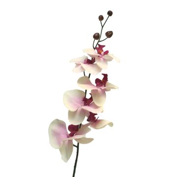 Decorative Phalaenopsis orchid branch LANUA, cream-pink, 31"/75cm