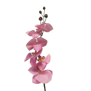 Decorative Phalaenopsis orchid branch LANUA, pink, 31"/75cm
