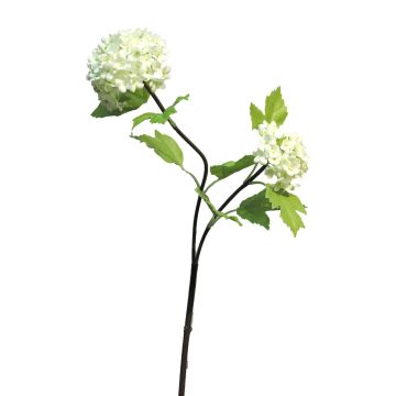 Decorative viburnum branch ALUO, cream, 20"/50cm