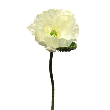 Artificial poppy ANKANG, cream, 28"/70cm