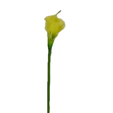 Artificial calla DOU, yellow-green, 28"/70cm