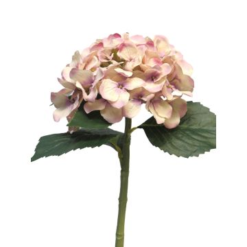 Artificial hydrangea XINCHENG, antique pink, 20"/50cm