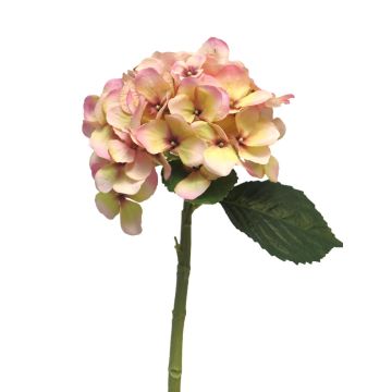 Artificial hydrangea XINCHENG, pink-yellow, 20"/50cm