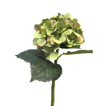 Artificial hydrangea FUXIANG, green-pink, 20"/50cm