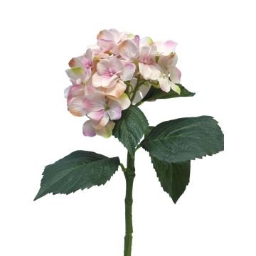 Artificial hydrangea FUXIANG, pink-cream, 20"/50cm