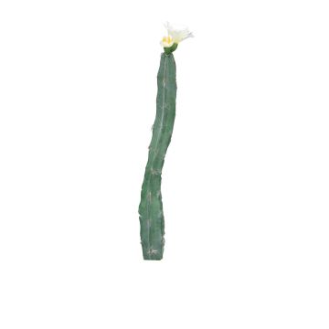 Artificial columnar cactus ANRAN with flowers, spike, cream, 14"/35cm
