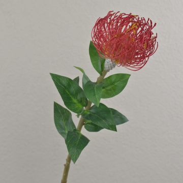 Artificial protea XIFANG, red, 31"/75cm