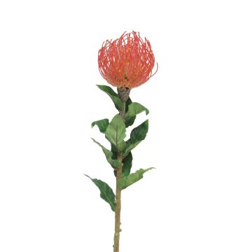Artificial protea XIFANG, red, 31"/75cm