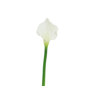 Artificial calla ZHILONG, white, 22"/55cm