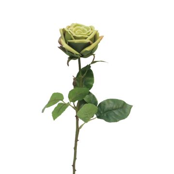 Artificial rose JIANHUA, green, 28"/70cm
