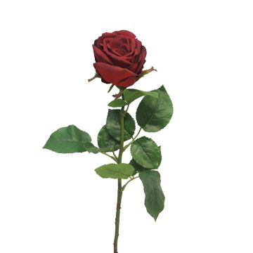 Artificial rose JIANHUA, dark red, 28"/70cm