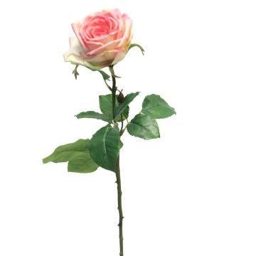 Artificial rose JIANHUA, pink-green, 28"/70cm