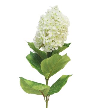 Artificial hydrangea Paniculata YANGDAN, cream, 33"/85cm