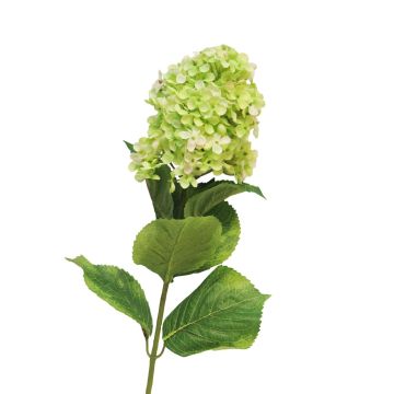 Artificial hydrangea Paniculata YANGDAN, light green, 33"/85cm
