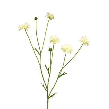 Artificial Centaurea TAOTAO, cream, 26"/65cm