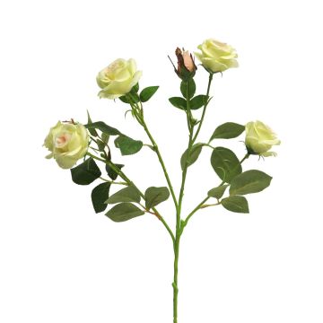 Artificial rose branch SHANZHA, light green, 28"/70cm