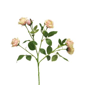 Artificial rose branch SHANZHA, pink-cream, 28"/70cm