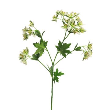 Artificial Euphorbia marginata branch MENGWEN, flowers, cream-green, 26"/65cm
