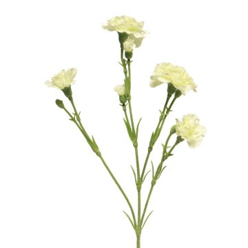 Artificial carnation AHONG, cream, 24"/60cm