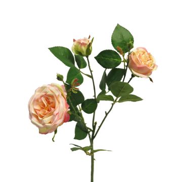 Decorative rose branch SHIYUN, peach-pink, 24"/60cm