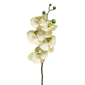 Artificial Phalaenopsis orchid branch SONGYA, white, 22"/55cm