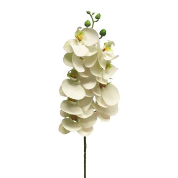 Artificial Phalaenopsis orchid branch SONGYA, white, 31"/75cm