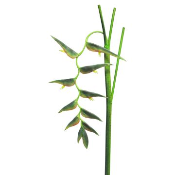 Artificial heliconia JIANG, dark green, 4ft/130cm