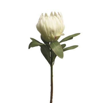 Decorative protea JIAHUI, white, 28"/70cm
