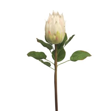 Artificial Protea SHUHUI, white, 24"/60cm