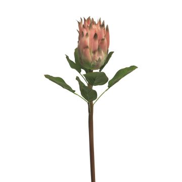 Artificial Protea SHUHUI, pink, 24"/60cm