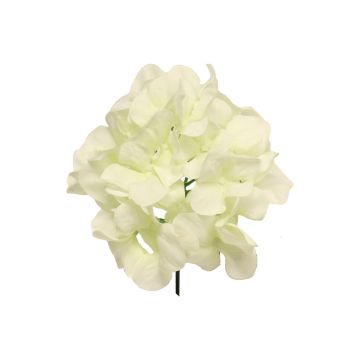 Decorative hydrangea FUHUA, cream, 10"/25cm