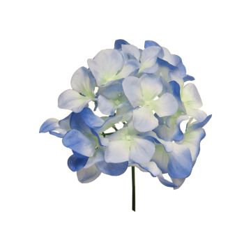Decorative hydrangea FUHUA, blue-white, 10"/25cm