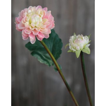 Artificial Chrysanthemum RYON, pink-cream, 28"/70cm, Ø1.2"-2"/3-5cm