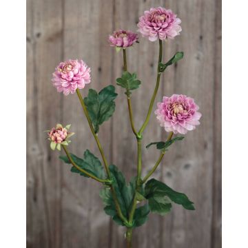 Artificial Chrysanthemum RYON, pink-green, 28"/70cm, Ø1.2"-2"/3-5cm