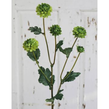 Artificial Chrysanthemum RYON, green, 28"/70cm, Ø1.2"-2"/3-5cm