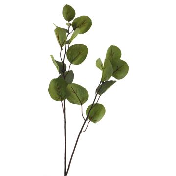 Decorative eucalyptus branch AOSHAN, green, 31"/80cm